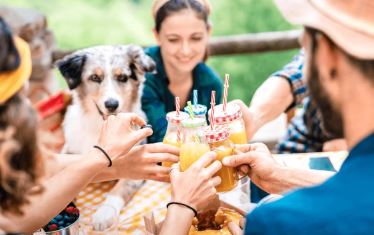 Chien avec sa nouvelle famille après transport international